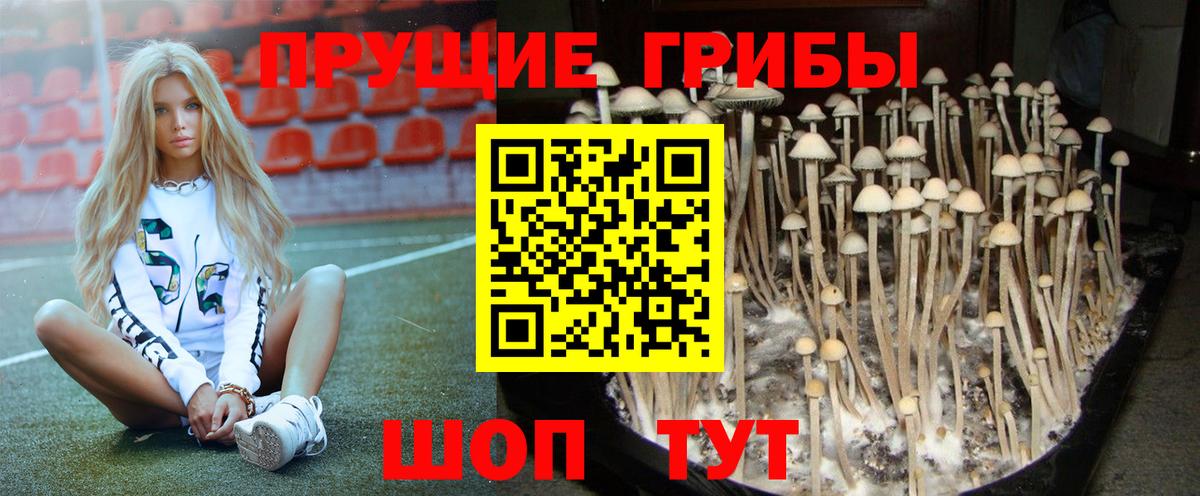 Галлюциногенные грибы Magic Shrooms Кулебаки