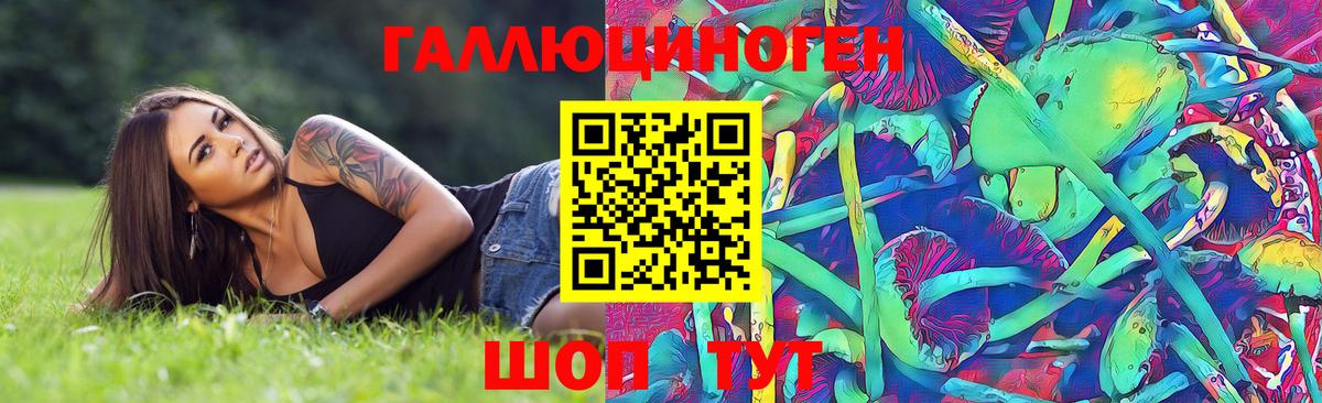 Кулебаки  Галлюциногенные грибы GOLDEN TEACHER  Вход с VPN 